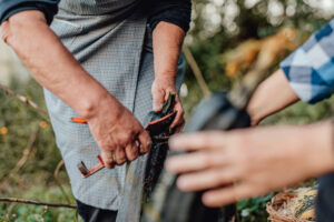 hoe vaak je tuingereedschap moet reinigen